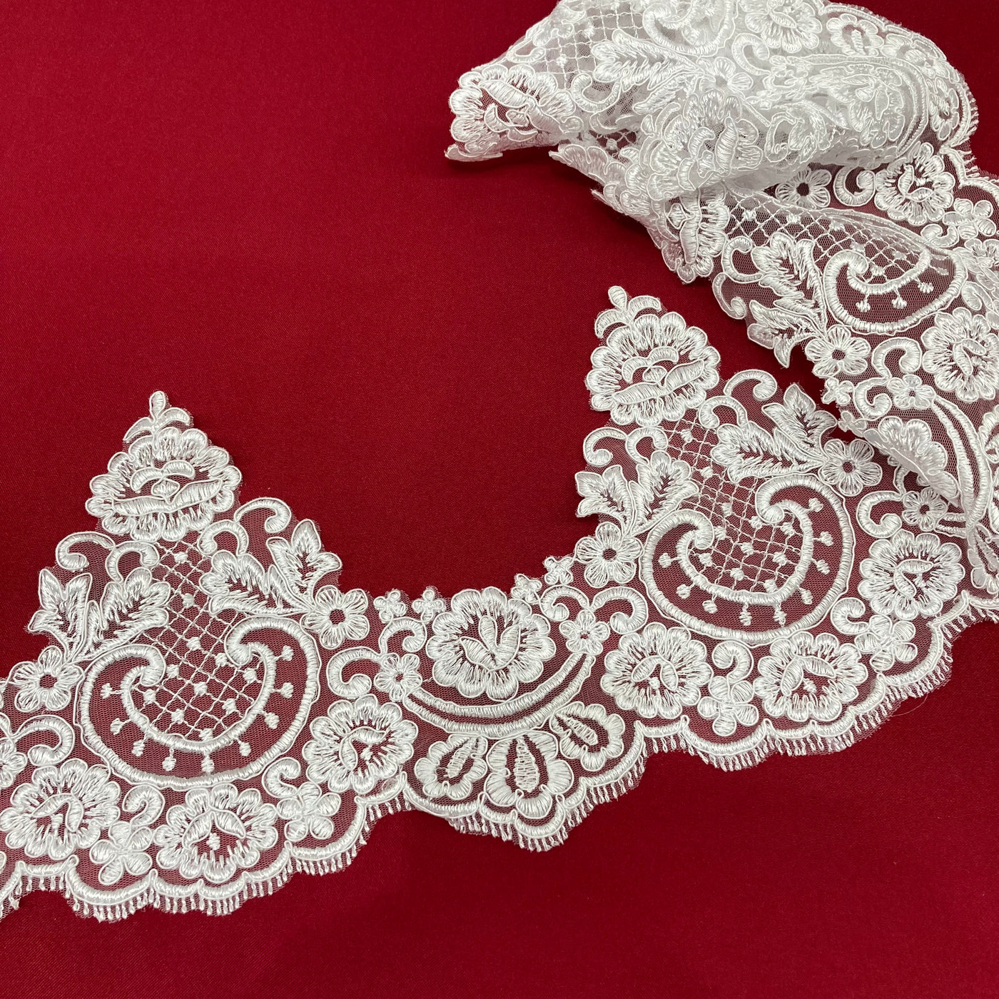 Corded Lace Trimming Embroidered on Poly. Net Mesh. Lace USA